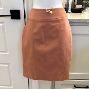 Express pencil skirt